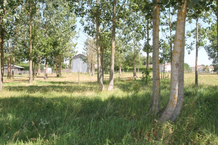 Photos 5 - Touristique - Ancien séchoir à tabac – 83 m² – Terrain de 3 650 m² – Potentiel de réhabilitation en habitation proche de CASTELJALOUX (47)