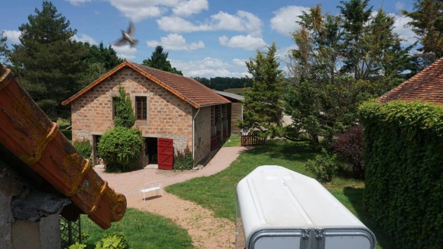 Photos 2 - Équestre - Propriété équestre avec 2 habitations rénovées sur 8 ha (