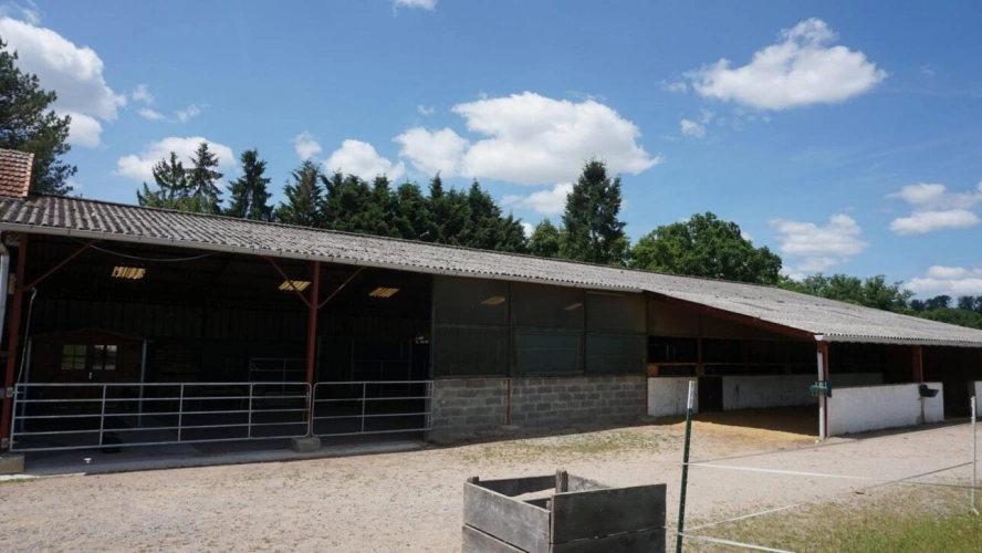 Photos 11 - Équestre - Propriété équestre avec 2 habitations rénovées sur 8 ha (