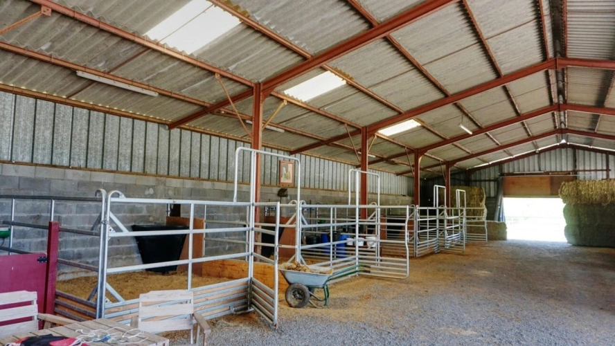 Photos 12 - Équestre - Propriété équestre avec 2 habitations rénovées sur 8 ha (