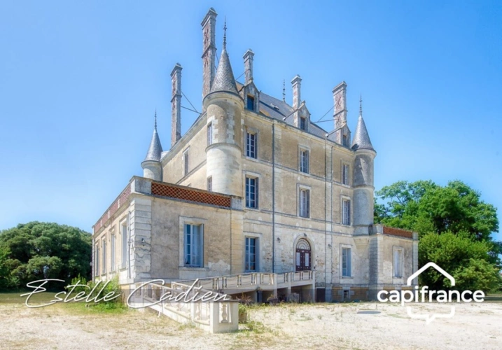 Photos 3 - Prestige - Propriété d’exception  – Château XIXe à CHANTONNAY (85)