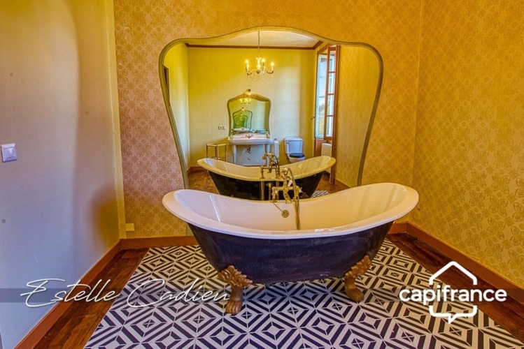 Photos 22 - Prestige - Propriété d’exception  – Château XIXe à CHANTONNAY (85)