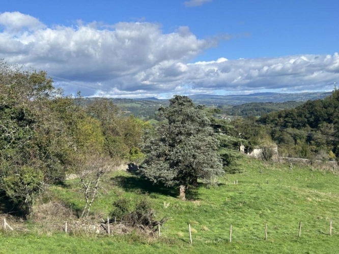 Photos 4 - Prestige - Demeure de ville et village