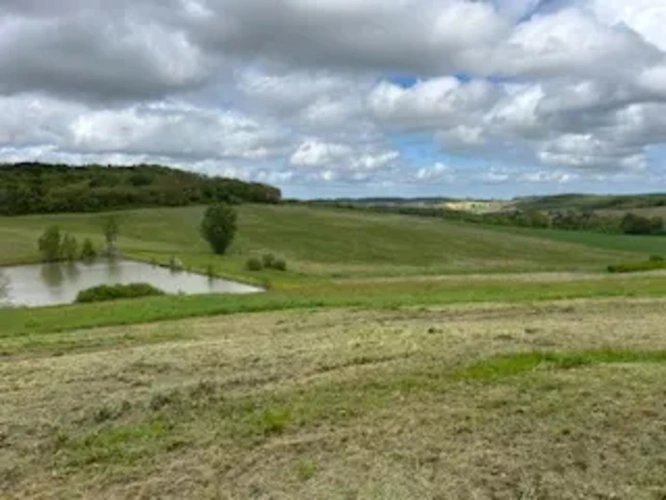 Photos 1 - Foncière - 90 ha irrigués (Tarn et Garonne) 28 ha noisetiers.