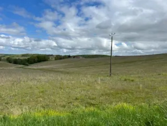Photos 2 - Foncière - 90 ha irrigués (Tarn et Garonne) 28 ha noisetiers.