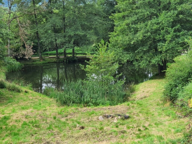 Photos 3 - Touristique - Dpt Vosges (88), à vendre proche REMIREMONT - PROPRIÉTÉ PLAIN-PIED idéal GITE DE GROUPE avec ETANG