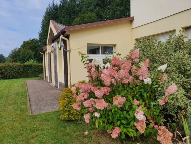 Photos 10 - Touristique - Dpt Vosges (88), à vendre proche REMIREMONT - PROPRIÉTÉ PLAIN-PIED idéal GITE DE GROUPE avec ETANG
