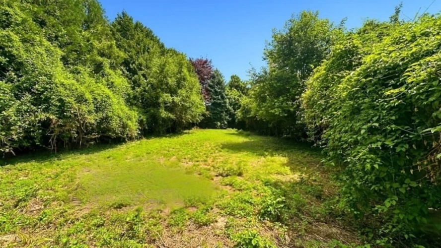 Photos 2 - Foncière - Terrain à vendre  BETHENIVILLE (51)