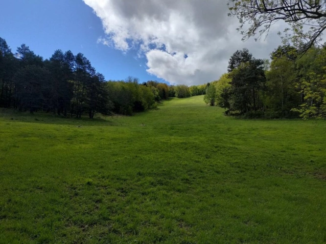 Photos 8 - Prestige - Domaine