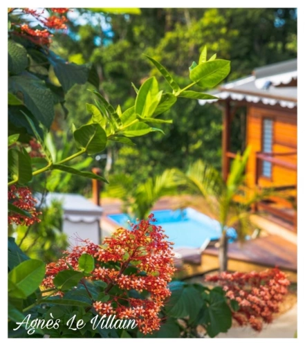 Photos 3 - Prestige - Domaine Touristique Haut de Gamme Vue Mer et Montserrat