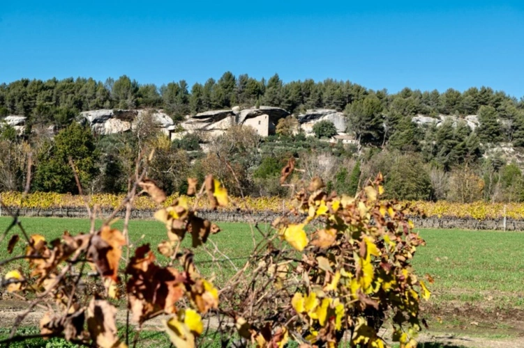 Photos 25 - Prestigious - Dpt Vaucluse (84), for sale in the countryside of MENERBES, close to Gordes and Isle sur la Sorgue,