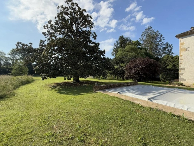 Photos 6 - Equestrian - Character property