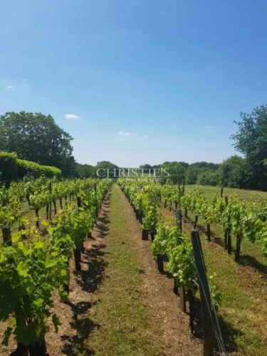 Photos 16 - Prestige - Charmante propriété composée d’une maison en pierre et d’un gîte  au cœur d'un secteur vallonné