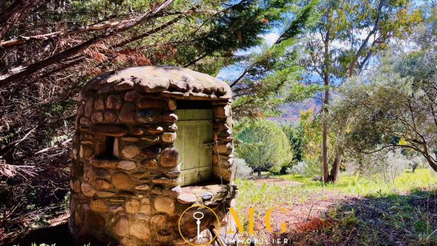 Photos 19 - Prestige - Magnifique propriété avec vue panoramique sur les Alpes, ter