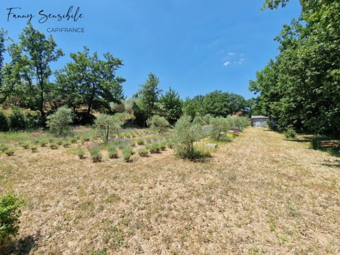 Photos 3 - Prestige - Propriété 5 chambres au grand calme 5500 m2 de terrain