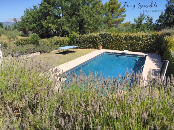 Photos 7 - Prestige - Propriété 5 chambres au grand calme 5500 m2 de terrain