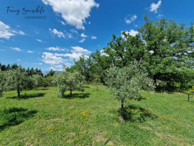 Photos 13 - Prestige - Propriété 5 chambres au grand calme 5500 m2 de terrain
