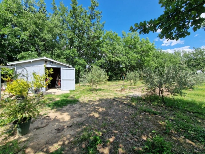 Photos 22 - Prestige - Propriété 5 chambres au grand calme 5500 m2 de terrain