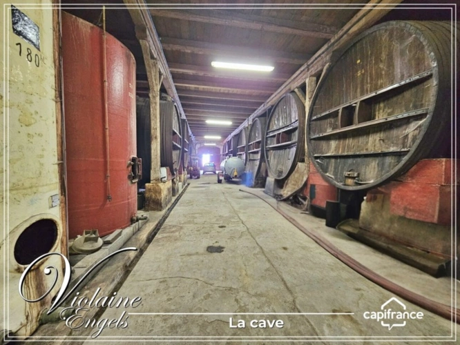 Photos 2 - Touristique - Domaine viticole d’exception à Cesseras – Minervois
