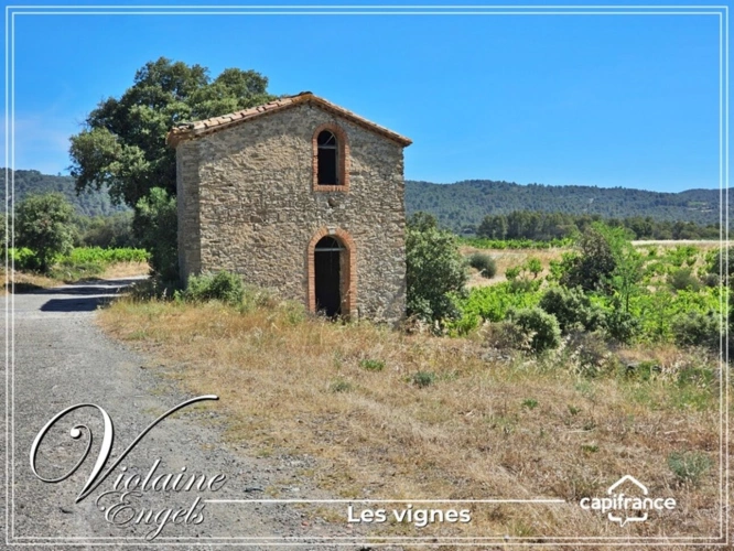 Photos 6 - Touristique - Domaine viticole d’exception à Cesseras – Minervois