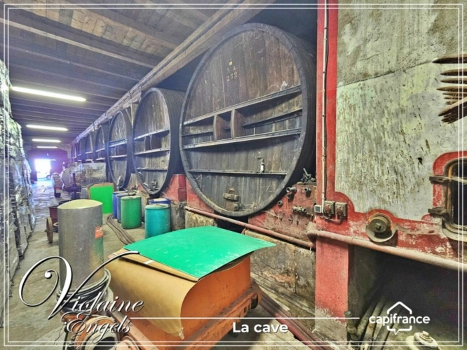 Photos 12 - Touristique - Domaine viticole d’exception à Cesseras – Minervois