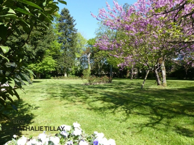 Photos 6 - Prestige - St jean le Blanc, proche Orleans, à vendre, maison de Maitre du XIX eme de 423 M² habitables,  490 AU SOL, avec piscine, parc arboré de 4655 m²