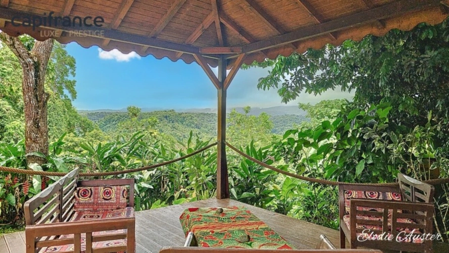 Photos 1 - Prestige - Propriété vue montagnes 12 pièces composée d'une villa et 1 maison créole