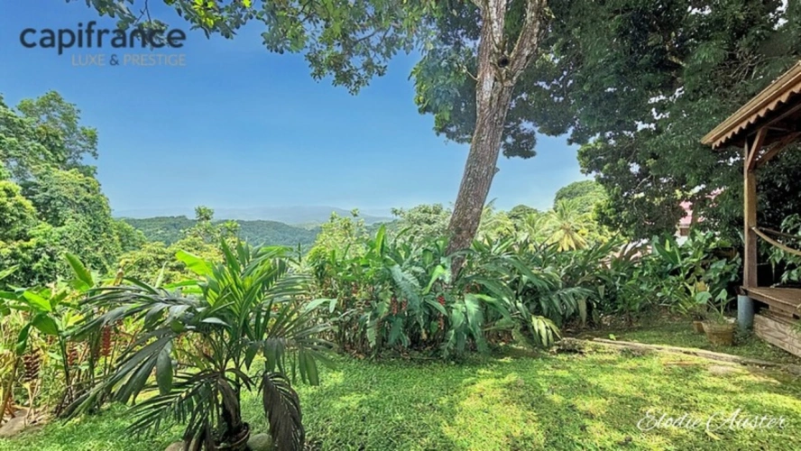 Photos 3 - Prestige - Propriété vue montagnes 12 pièces composée d'une villa et 1 maison créole