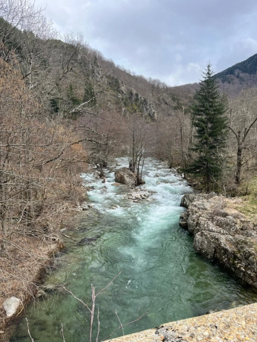 Photos 5 - Forestière - Forêt de Douglas à haut rendement
