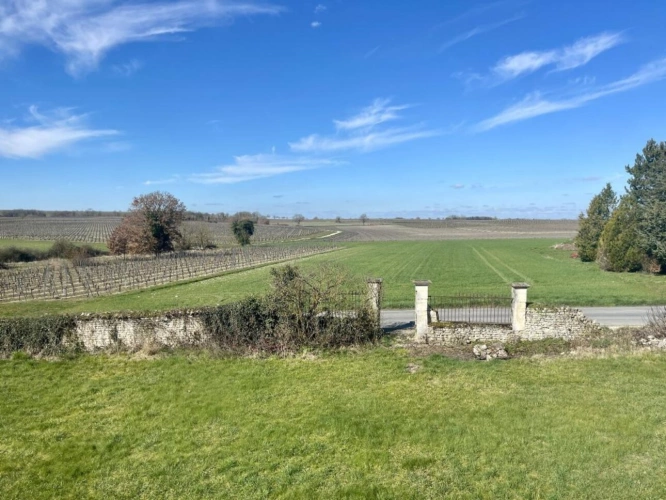 Photos 2 - Prestigious - Character property