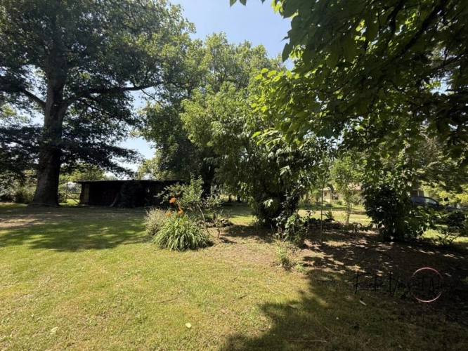 Photos 15 - Équestre - Ensemble de 2 habitations sur 1ha à 5mn de Bazas