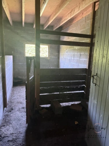 Photos 23 - Équestre - Ensemble de 2 habitations sur 1ha à 5mn de Bazas