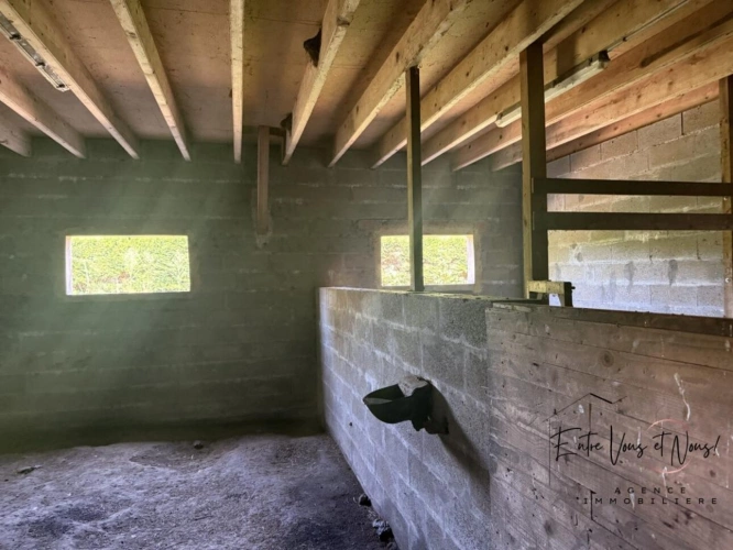 Photos 24 - Équestre - Ensemble de 2 habitations sur 1ha à 5mn de Bazas