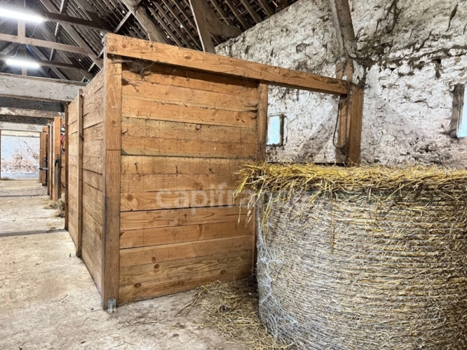 Photos 31 - Équestre - À VENDRE - HESDIN L'ABBÉ - CORPS DE FERME RÉNOVÉ - DOMAINE EQUESTRE - CAPACITÉ DE L'ENSEMBLE 468 M2 - HABITATION PRINCIPALE 8 PIÈCES - GARAGE - PISCINE 32 M2 - TERRAIN CLOS - DÉPENDANCES