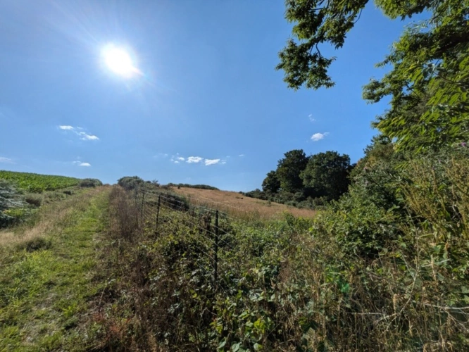Photos 25 - Prestige - Séglien en campagne longère en pierre rénovée avec vie de plain pied de 219m², garage, atelier et dépendance parcelle de 7125m²