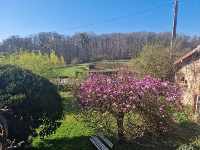 Photos 3 - Tourist - VITTEL sector (88) Former property PRESBYTERY FARM / 1.9 ha of land with POND & OUTBUILDINGS SHED