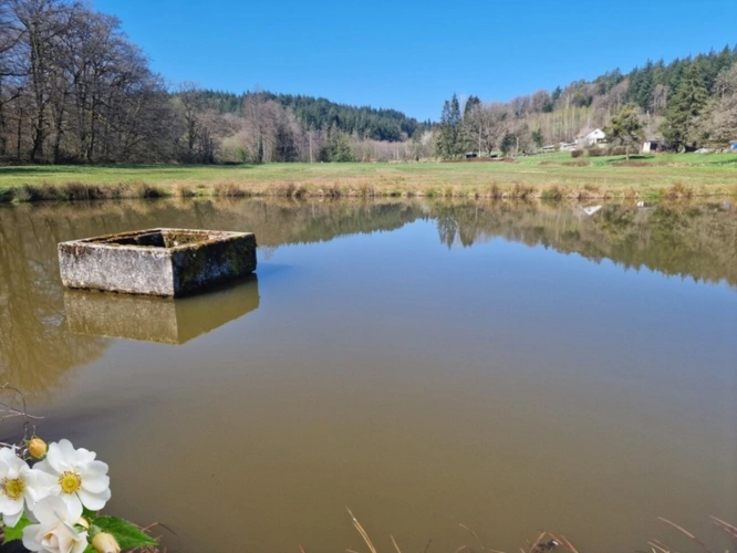 Photos 9 - Tourist - VITTEL sector (88) Former property PRESBYTERY FARM / 1.9 ha of land with POND & OUTBUILDINGS SHED