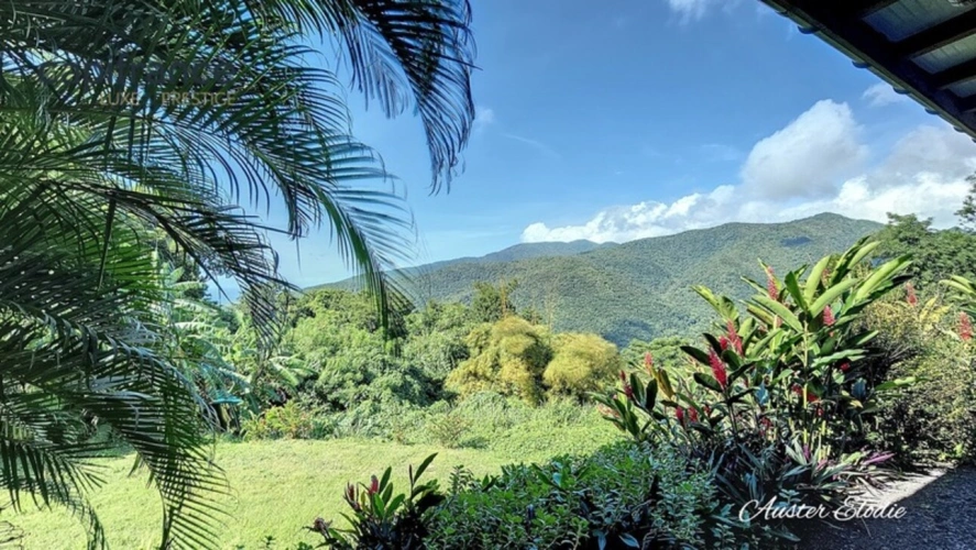 Photos 9 - Touristique - Propriété de 3 villas T3 avec piscine un T3 et deux T1 vue imprenable montagne et Mer des Caraïbes