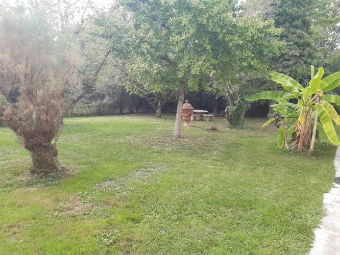 Photos 13 - Équestre - Maison