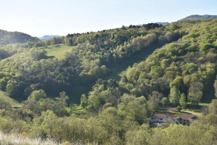 Photos 2 - Prestige - Domaine