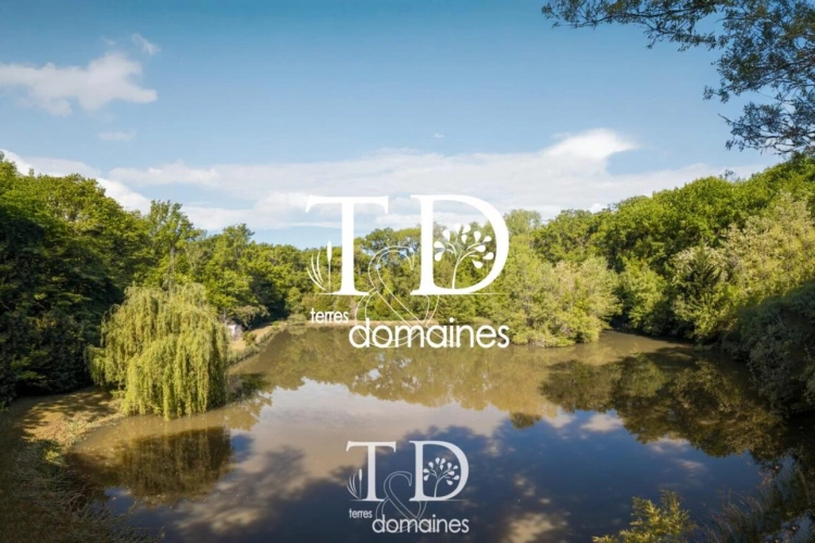 Photos 1 - Foncière - À vendre - Étang boisé de plus d'1 hectare à Cosne-sur-L