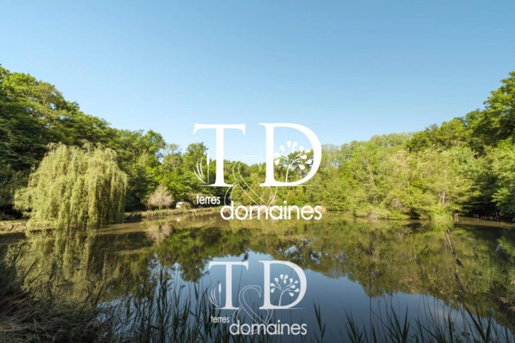 Photos 5 - Foncière - À vendre - Étang boisé de plus d'1 hectare à Cosne-sur-L