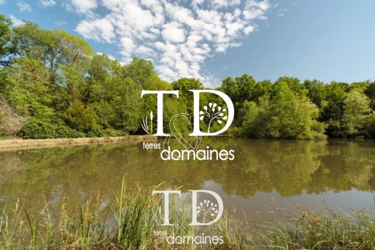 Photos 10 - Foncière - À vendre - Étang boisé de plus d'1 hectare à Cosne-sur-L