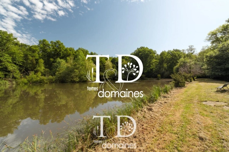 Photos 11 - Foncière - À vendre - Étang boisé de plus d'1 hectare à Cosne-sur-L