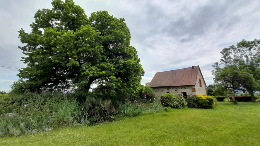 Photos 10 - Prestige - ALLIER