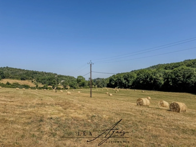 Photos 29 - Touristique - Propriete à vendre 8 pièces VILLARDEBELLE (11) 15ha de terrain, bergeries, hangar