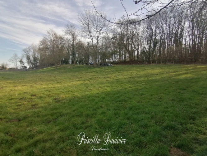 Photos 2 - Foncière - Terrain de loisirs à vendre VILLERS SAINT SEPULCRE (60)