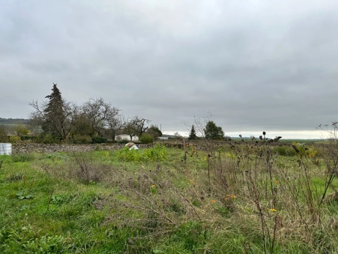 Photos 7 - Touristique - Grange avec grand jardin constructible proche de POUILLY EN AUXOIS (21)