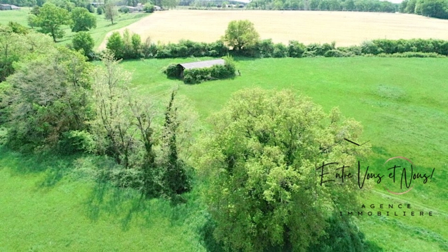 Photos 12 - Prestige - Propriété de charme, 376m2, 6ch sur 9ha à Bazas!
