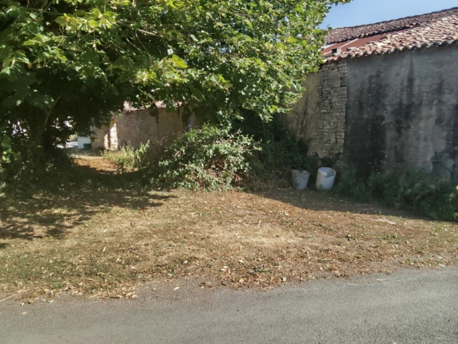 Photos 3 - Touristique - Maison à vendre à rénover entièrement SAINT HILAIRE DE VILLEFRANCHE (17)